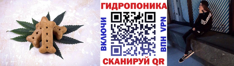 Canna-Cookies марихуана  Купить  Мураши 