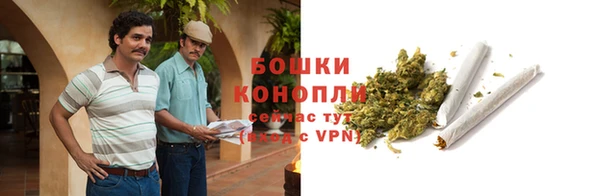 прущие грибы Киреевск