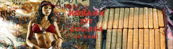 прущие грибы Киреевск