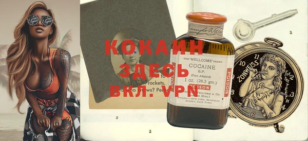 прущие грибы Киреевск