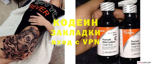 прущие грибы Киреевск