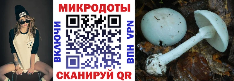 Купить  Мураши  Галлюциногенные грибы MAGIC MUSHROOMS 