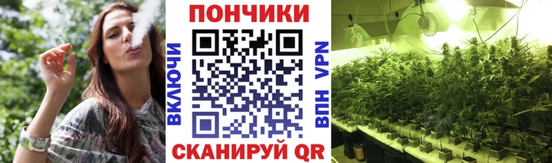 Марихуана MAZAR  Купить закладки  Мураши 